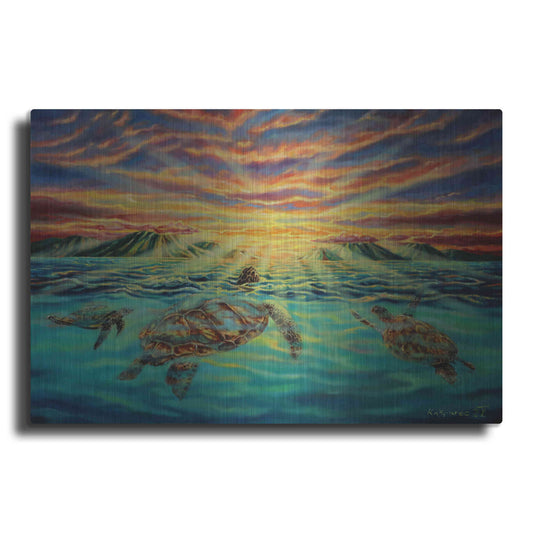 Luxe Metal Art 'Turtle Sunset' by Jan Kasparec, Metal Wall Art
