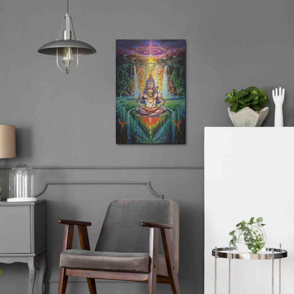 Luxe Metal Art 'Shiva Phoenix' by Jan Kasparec, Metal Wall Art,16x24