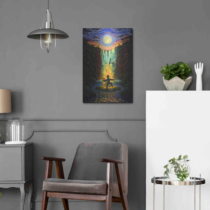 Luxe Metal Art 'Shaman Fire' by Jan Kasparec, Metal Wall Art,16x24