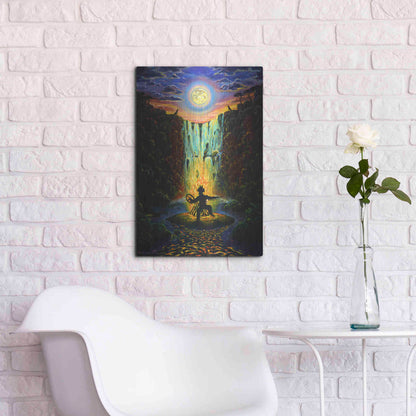 Luxe Metal Art 'Shaman Fire' by Jan Kasparec, Metal Wall Art,16x24