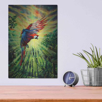 Luxe Metal Art 'Parrot Temple' by Jan Kasparec, Metal Wall Art,12x16
