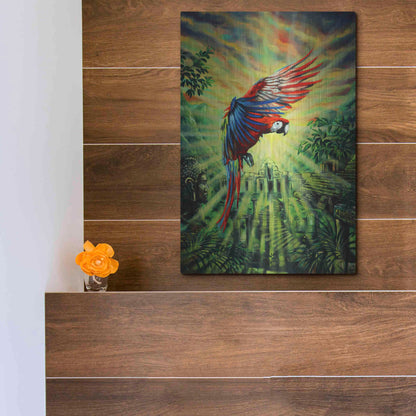 Luxe Metal Art 'Parrot Temple' by Jan Kasparec, Metal Wall Art,12x16