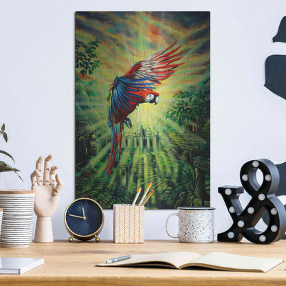 Luxe Metal Art 'Parrot Temple' by Jan Kasparec, Metal Wall Art,12x16