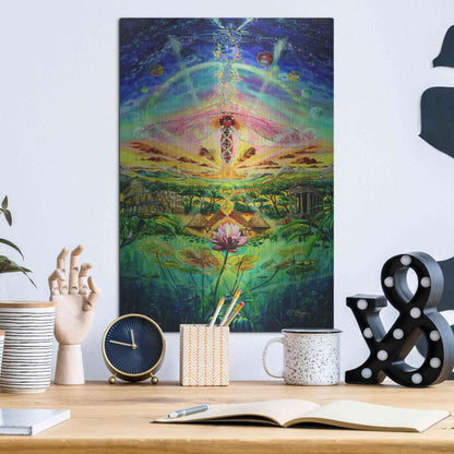 Luxe Metal Art 'Evolution' by Jan Kasparec, Metal Wall Art,12x16