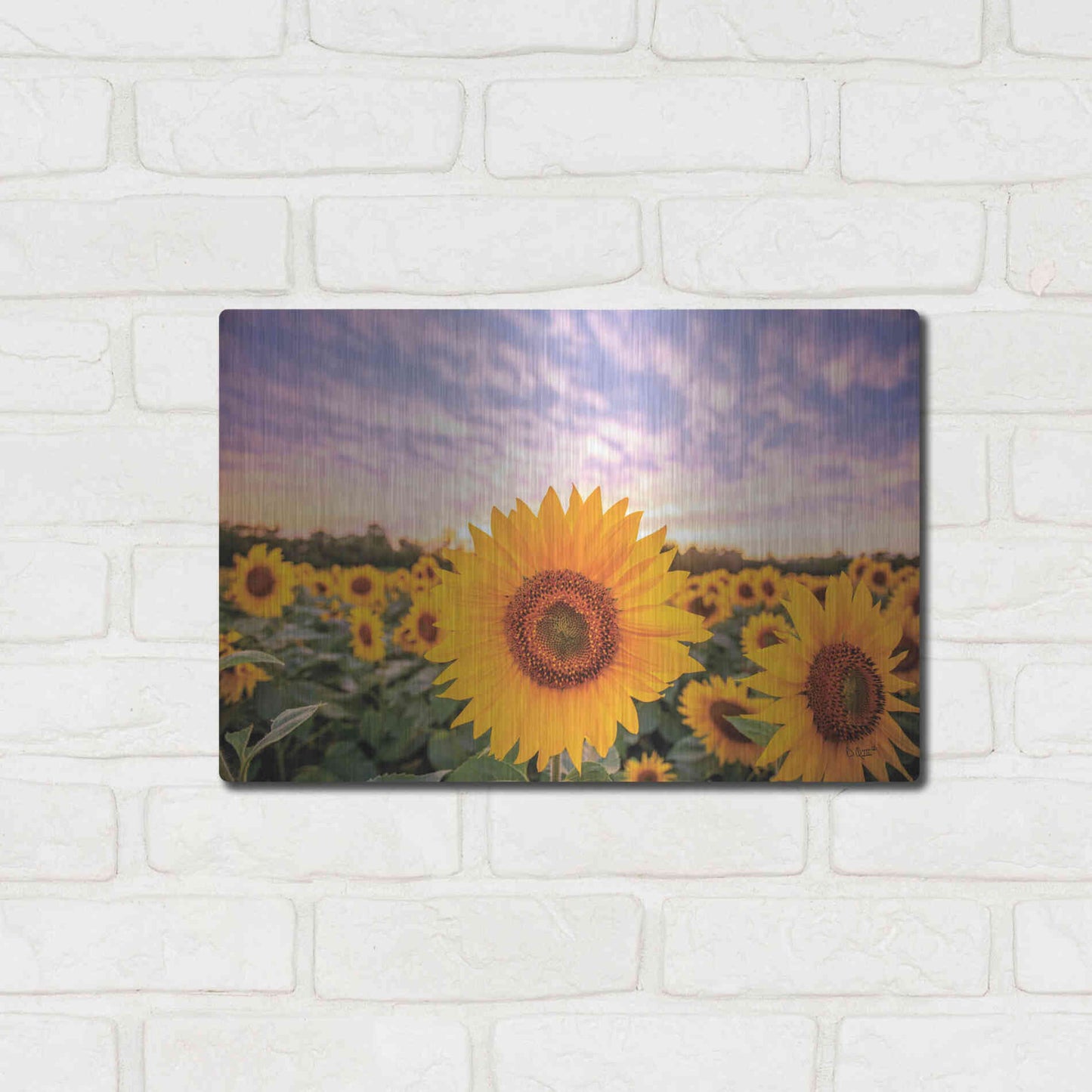 Luxe Metal Art 'Sunflower Sunset' by Donnie Quillen, Metal Wall Art,16x12
