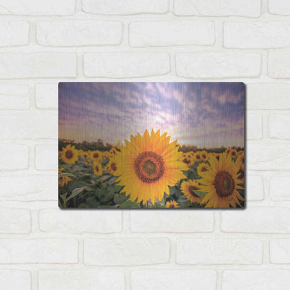 Luxe Metal Art 'Sunflower Sunset' by Donnie Quillen, Metal Wall Art,16x12