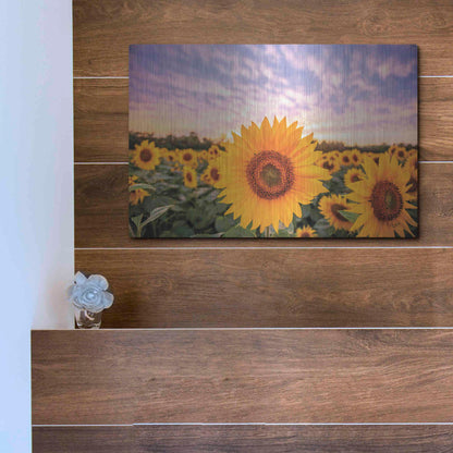 Luxe Metal Art 'Sunflower Sunset' by Donnie Quillen, Metal Wall Art,16x12