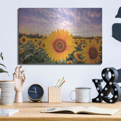 Luxe Metal Art 'Sunflower Sunset' by Donnie Quillen, Metal Wall Art,16x12