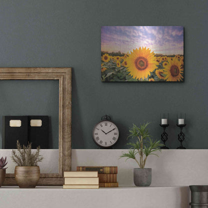 Luxe Metal Art 'Sunflower Sunset' by Donnie Quillen, Metal Wall Art,16x12