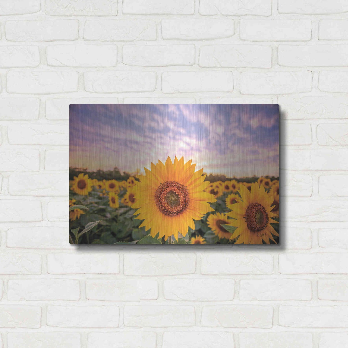 Luxe Metal Art 'Sunflower Sunset' by Donnie Quillen, Metal Wall Art,24x16