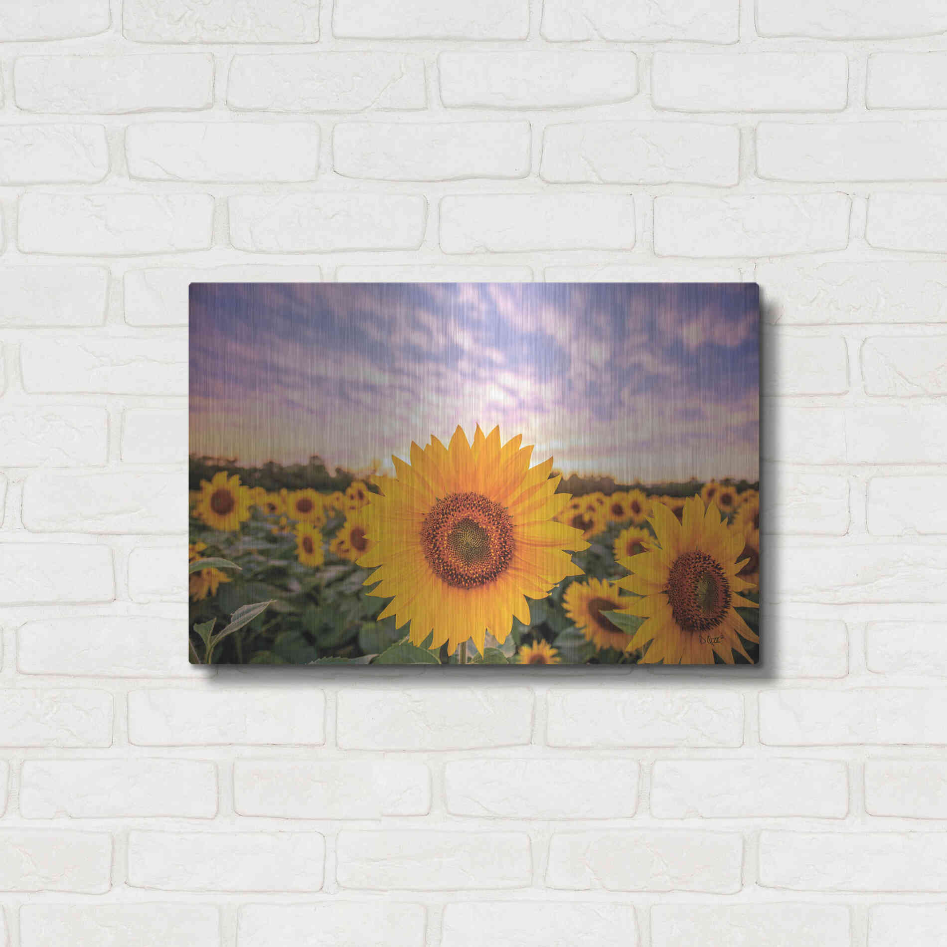 Luxe Metal Art 'Sunflower Sunset' by Donnie Quillen, Metal Wall Art,24x16