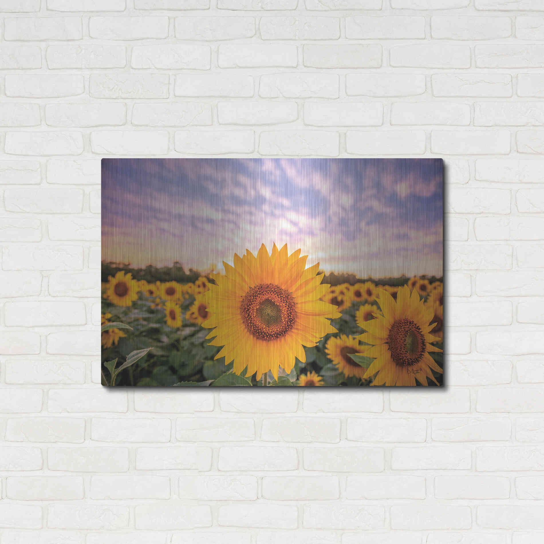 Luxe Metal Art 'Sunflower Sunset' by Donnie Quillen, Metal Wall Art,36x24