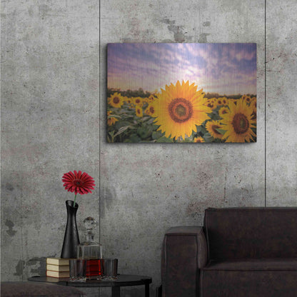 Luxe Metal Art 'Sunflower Sunset' by Donnie Quillen, Metal Wall Art,36x24