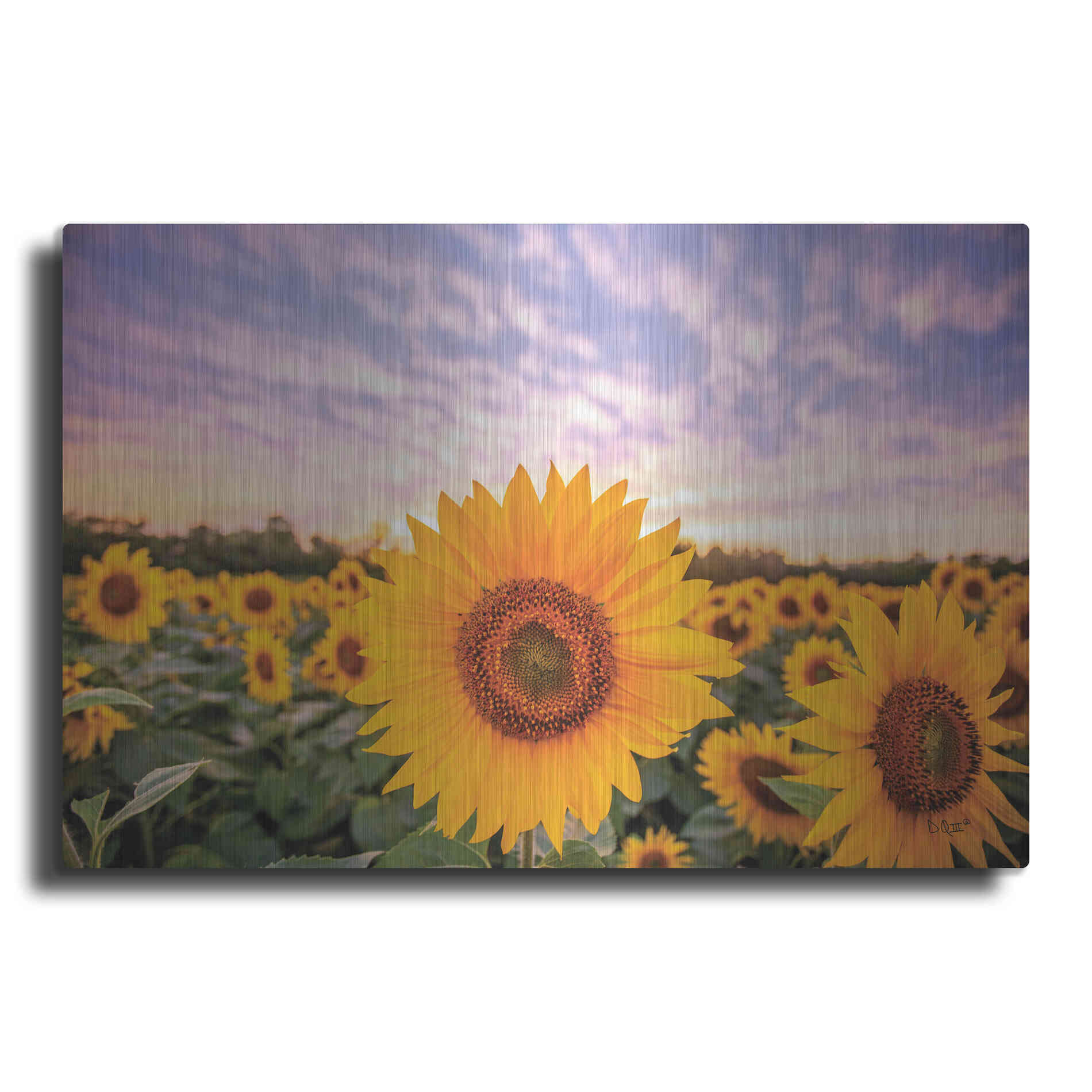 Luxe Metal Art 'Sunflower Sunset' by Donnie Quillen, Metal Wall Art
