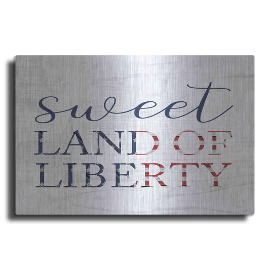 Luxe Metal Art 'Sweet Land of Liberty II' by Lux + Me, Metal Wall Art