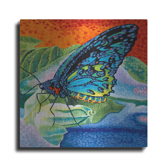 Luxe Metal Art 'Poised Butterfly II' by Carolee Vitaletti, Metal Wall Art