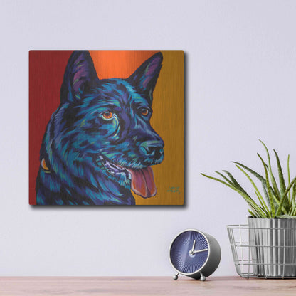 Luxe Metal Art 'Dogs in Color I' by Carolee Vitaletti, Metal Wall Art,12x12