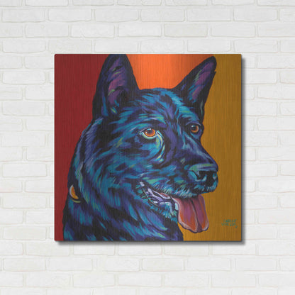 Luxe Metal Art 'Dogs in Color I' by Carolee Vitaletti, Metal Wall Art,36x36