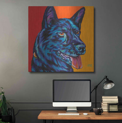 Luxe Metal Art 'Dogs in Color I' by Carolee Vitaletti, Metal Wall Art,36x36