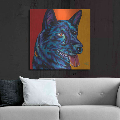 Luxe Metal Art 'Dogs in Color I' by Carolee Vitaletti, Metal Wall Art,36x36