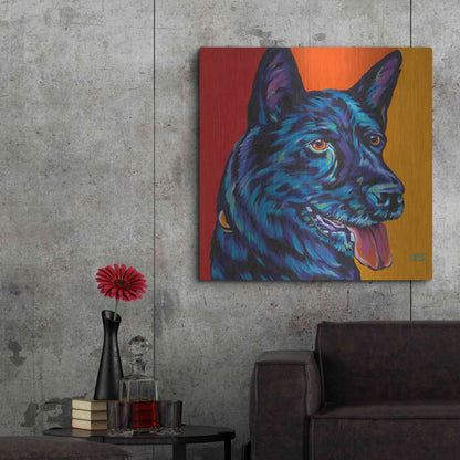 Luxe Metal Art 'Dogs in Color I' by Carolee Vitaletti, Metal Wall Art,36x36