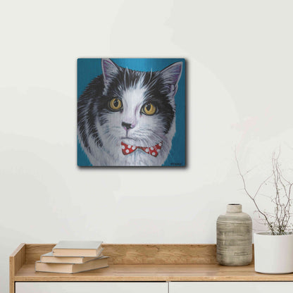 Luxe Metal Art 'Classy Cat I' by Carolee Vitaletti, Metal Wall Art,12x12