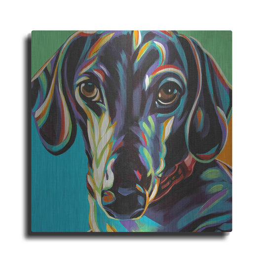 Luxe Metal Art 'Painted Dachshund I' by Carolee Vitaletti, Metal Wall Art