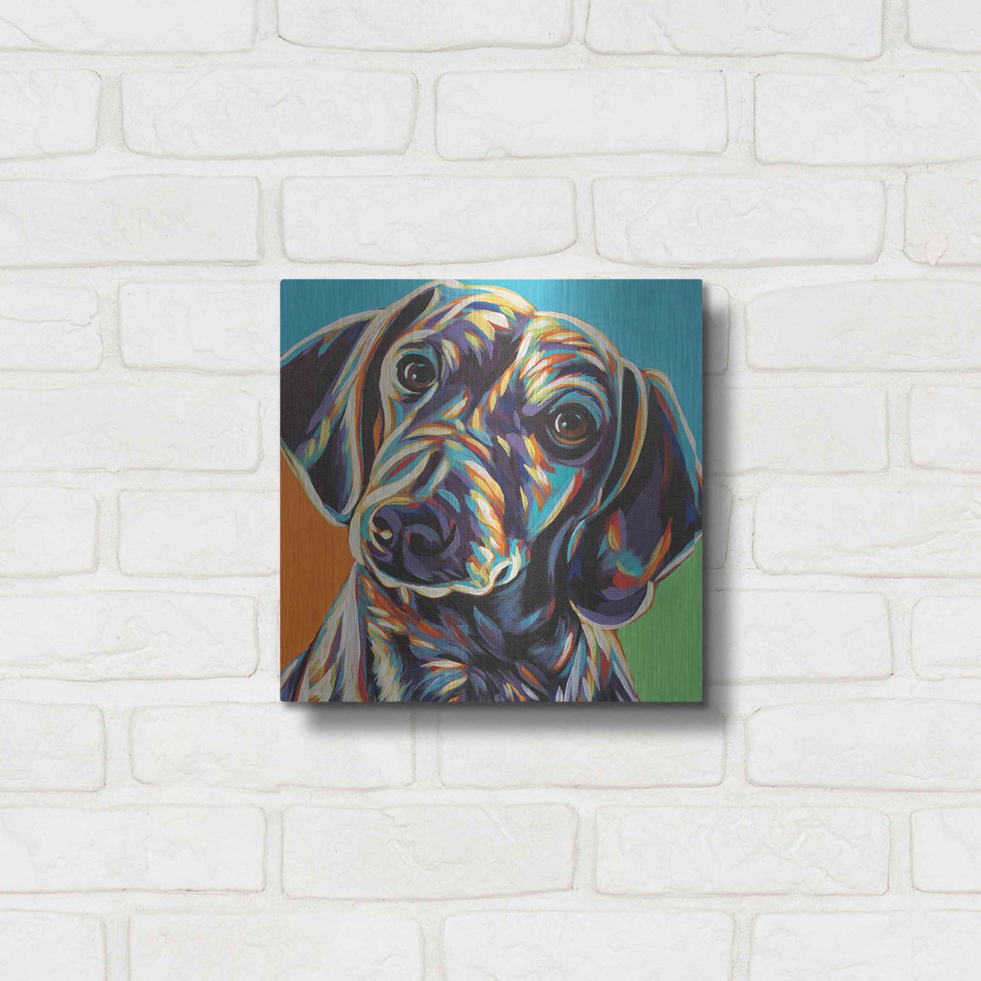 Luxe Metal Art 'Painted Dachshund II' by Carolee Vitaletti, Metal Wall Art,12x12