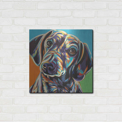 Luxe Metal Art 'Painted Dachshund II' by Carolee Vitaletti, Metal Wall Art,24x24