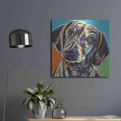 Luxe Metal Art 'Painted Dachshund II' by Carolee Vitaletti, Metal Wall Art,24x24