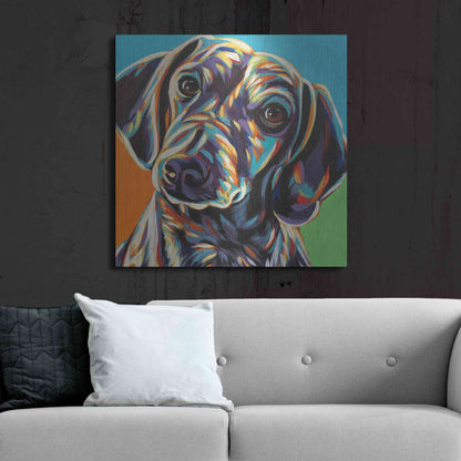 Luxe Metal Art 'Painted Dachshund II' by Carolee Vitaletti, Metal Wall Art,36x36