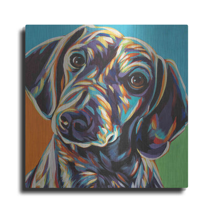 Luxe Metal Art 'Painted Dachshund II' by Carolee Vitaletti, Metal Wall Art