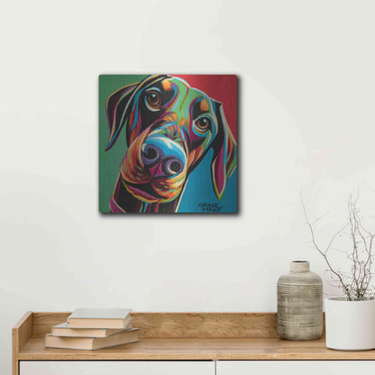 Luxe Metal Art 'Chroma Dogs I' by Carolee Vitaletti, Metal Wall Art,12x12