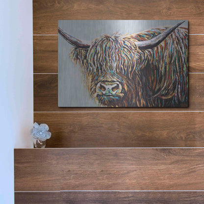 Luxe Metal Art 'Woolly Highland I' by Carolee Vitaletti, Metal Wall Art,16x12