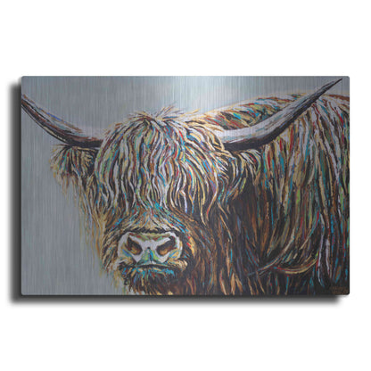 Luxe Metal Art 'Woolly Highland I' by Carolee Vitaletti, Metal Wall Art