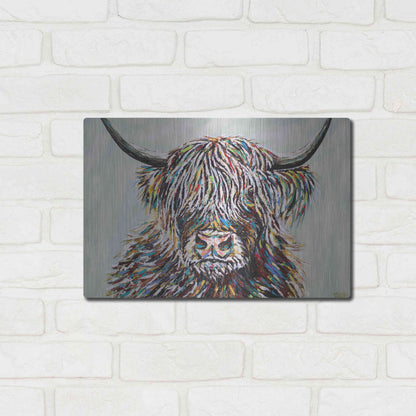 Luxe Metal Art 'Woolly Highland II' by Carolee Vitaletti, Metal Wall Art,16x12