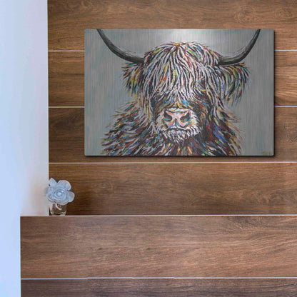 Luxe Metal Art 'Woolly Highland II' by Carolee Vitaletti, Metal Wall Art,16x12