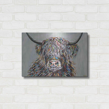 Luxe Metal Art 'Woolly Highland II' by Carolee Vitaletti, Metal Wall Art,24x16