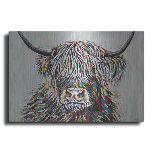 Luxe Metal Art 'Woolly Highland II' by Carolee Vitaletti, Metal Wall Art