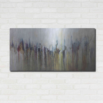Luxe Metal Art 'Cascada Metalica' by Leticia Herrera, Metal Wall Art,48x24