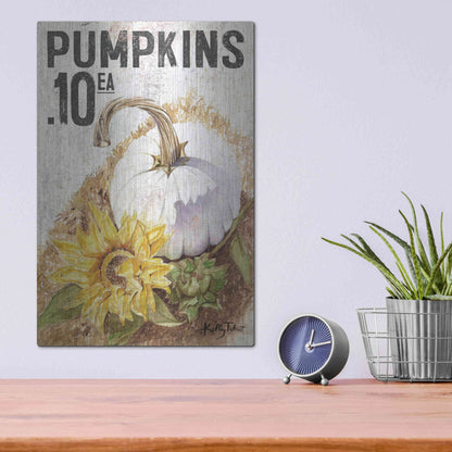 Luxe Metal Art 'White Harvest Pumpkin' by Kelley Talent, Metal Wall Art,12x16