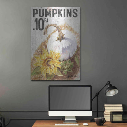 Luxe Metal Art 'White Harvest Pumpkin' by Kelley Talent, Metal Wall Art,24x36