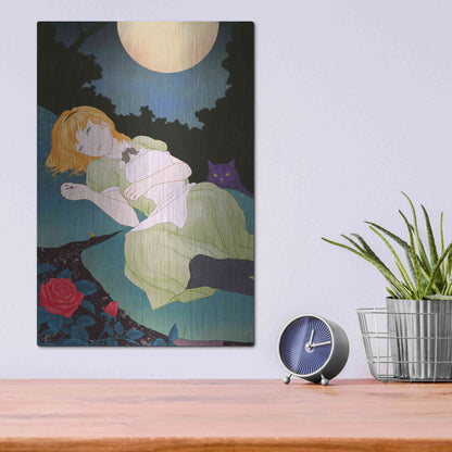 Luxe Metal Art 'Moonlight' by Sai Tamiya, Metal Wall Art,12x16