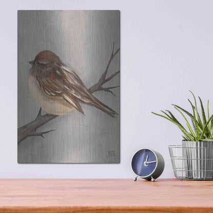 Luxe Metal Art 'Winter Bird III' by Jade Reynolds, Metal Wall Art,12x16