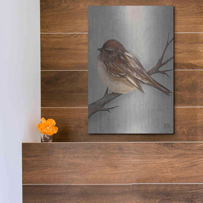 Luxe Metal Art 'Winter Bird III' by Jade Reynolds, Metal Wall Art,12x16