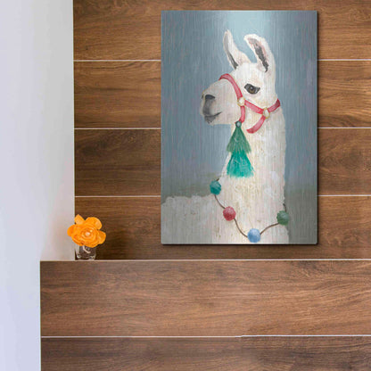 Luxe Metal Art 'Painted Llama I' by Jade Reynolds, Metal Wall Art,12x16