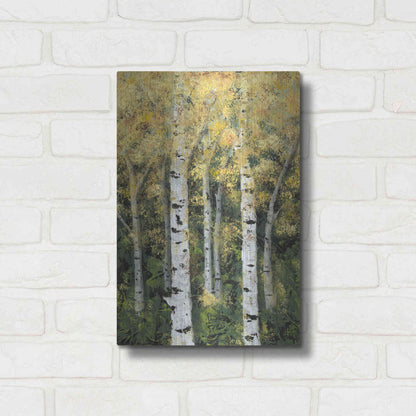 Luxe Metal Art 'Birch Treeline II' by Jade Reynolds, Metal Wall Art,12x16