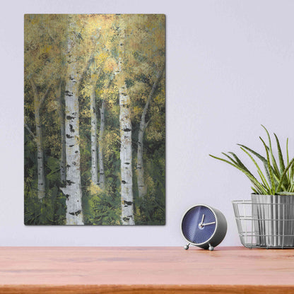 Luxe Metal Art 'Birch Treeline II' by Jade Reynolds, Metal Wall Art,12x16