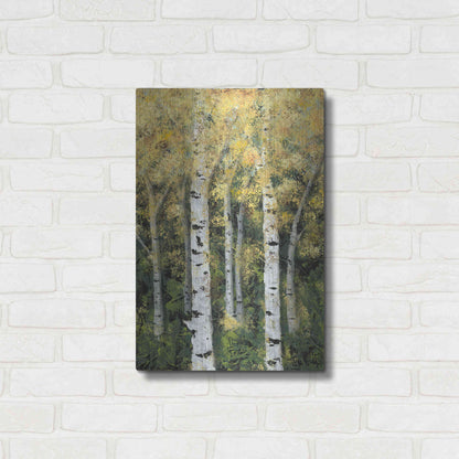 Luxe Metal Art 'Birch Treeline II' by Jade Reynolds, Metal Wall Art,16x24