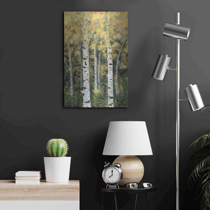 Luxe Metal Art 'Birch Treeline II' by Jade Reynolds, Metal Wall Art,16x24